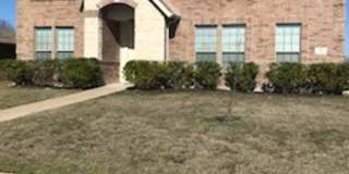 Large 3 Bedroom in Royse City!! Gallery 1