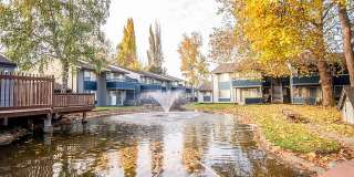 The Lakes Gallery 23
