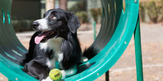 eaves Dublin Gallery 26