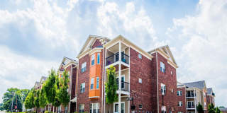 Monon Living Gallery 1