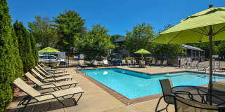 Orchard Park Gallery 28