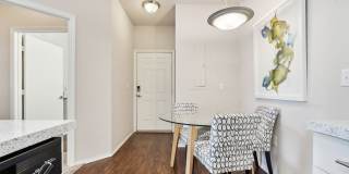 Vista Lake Ned Gallery 29