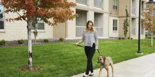 Camden Lincoln Station Gallery 34