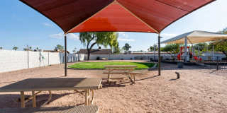 Renaissance Gallery 43