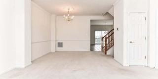 21759 LADYSLIPPER Square Gallery 7