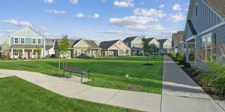 Hamlet Watkins Centre Gallery 42