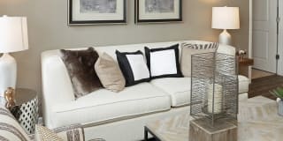 The Allure Mineola Gallery 3