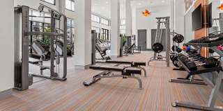 Hue on Greenhouse Gallery 22