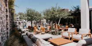 Tanager Tanager Gallery 11