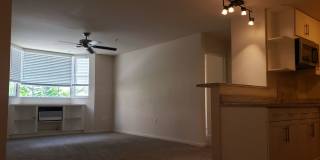 Two Parking, Window AC, Washer and Dryer Gallery 5