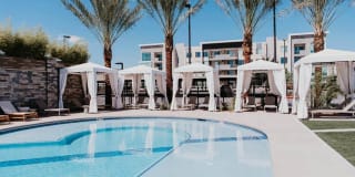 Tanager Tanager Gallery 3