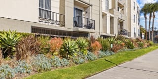 Palms Court Gallery 24