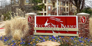 Sycamore Farms Gallery 21