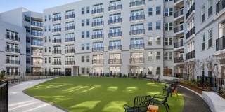 Vine North Hills Vine North Hills Gallery 1