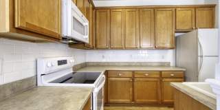 637 Mount Olympus Boulevard Gallery 15