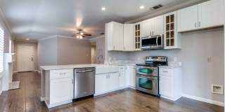 RENOVATED 3-BEDROOM IN PEBBLE OAK, NORTH EAST ISD Gallery 14