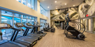 Next on Sixth Gallery 32