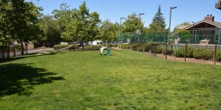 Lake Forest Gallery 29