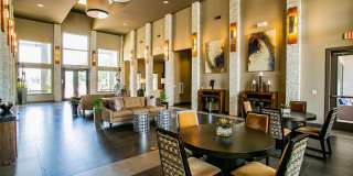 Aliso Briar Forest Gallery 5