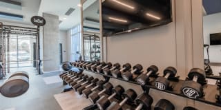 Towerview Ballantyne Gallery 25