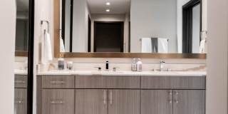 The National The National Gallery 19