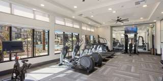 Prose Ascend Gallery 38