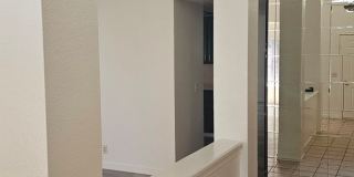 Summer Field Area Gallery 12