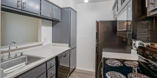 Treehouse Apartments Gallery 65