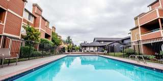 The Lucent Gallery 26