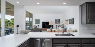 447 Desert Lakes Drive Gallery 15