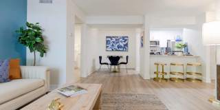 Tradition at Palm Aire Gallery 25