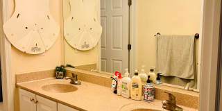 2914 Leslie Park Circle Gallery 4