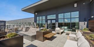 Wellory Living Gallery 36