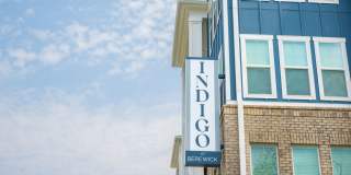 Indigo at Berewick Gallery 12