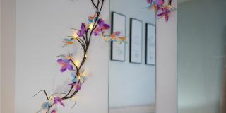 2960 KOKOMO LOOP Gallery 26