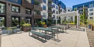 Sevens Luxury Apartment Gallery 135