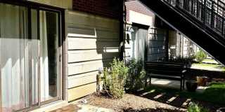 1346 S Indiana Parkway Gallery 18