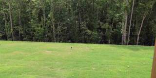 222 Amber Acorn Avenue Gallery 23