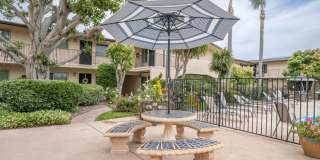 Las Brisas Gallery 11