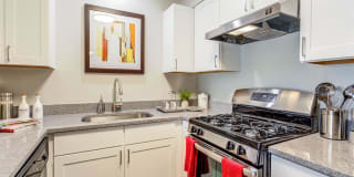 Orion ParkView Gallery 39