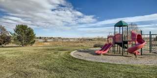 Lovely 3 BDR/3BA Home - 20 Minutes to Denver Gallery 28