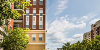 The Point at Dunn Loring Gallery 36