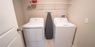 9831 LEMON DROP Loop Gallery 39