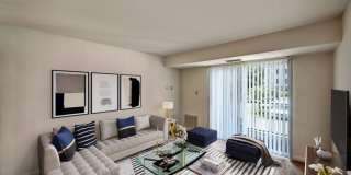 Mallside Forest Gallery 5