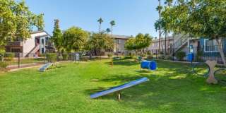 Palms at South Mountain Gallery 19