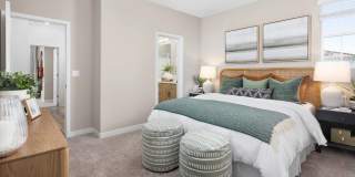 Vida at Mountain House Gallery 15