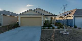 12634 CACAO TREE Trail 12634 CACAO TREE Trail Gallery 1