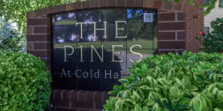 The Pines at Cold Harbor Gallery 17