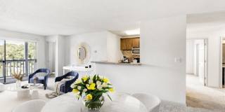 Sailpointe at Lake Norman Apartment Homes Gallery 23