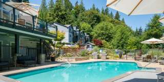 Lakemont Orchard Gallery 19